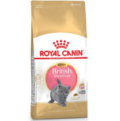 מזון יבש -רויאל קנין גור חתול בריטי