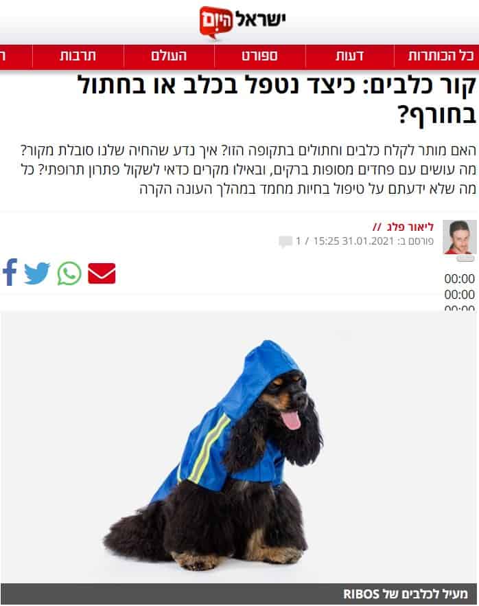 פט-בסט כתבה בישראל היום בגדים בחורף לכלבים