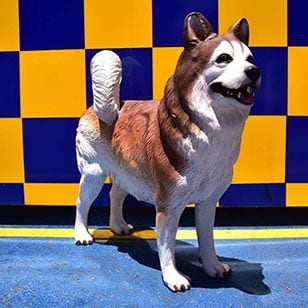 פסל כלב האסקי סיבירי