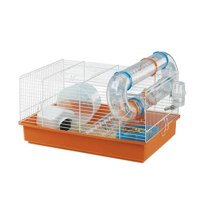 כלוב לאוגרים פאולה