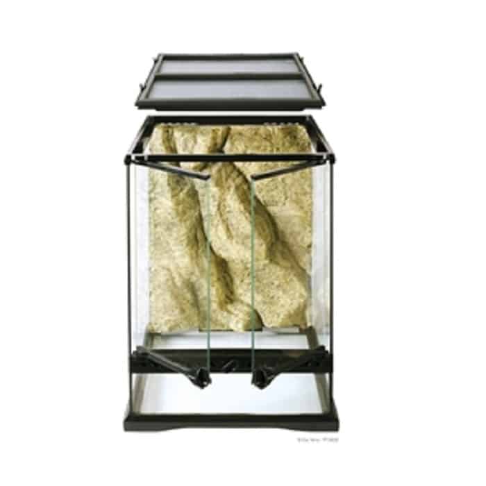 אקזוטרה מיני טרריום גבוה לזוחלים