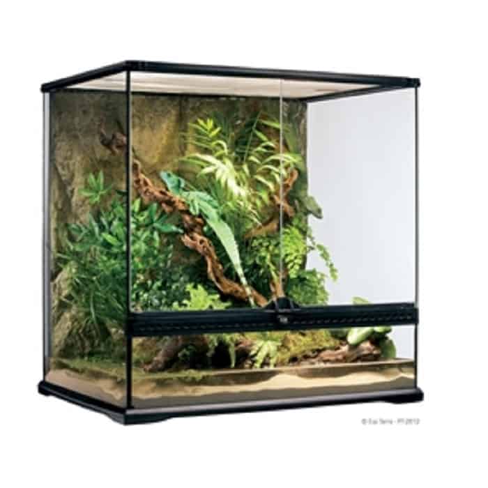 אקזוטרה טרריום בינוני גבוה לזוחלים