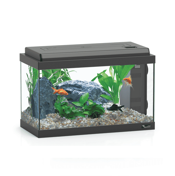 אקווריום אקוואטלנטיס 60 ס"מ
