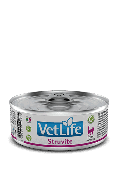 שימור ווט לייף סטרוויט לחתול