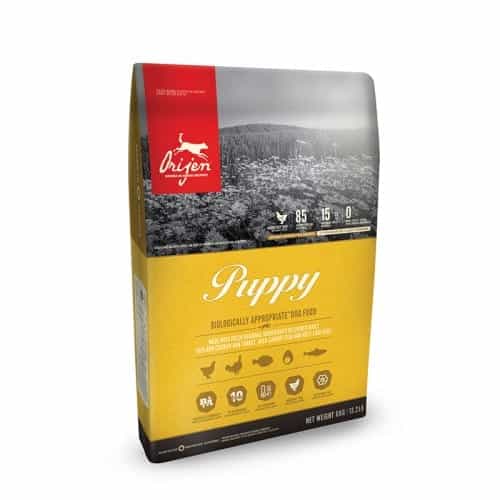 אוכל לכלבים אוריג'ן כלב גור