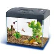 אקווריום 29 ס"מ + תאורת לד + פילטר ביולוגי