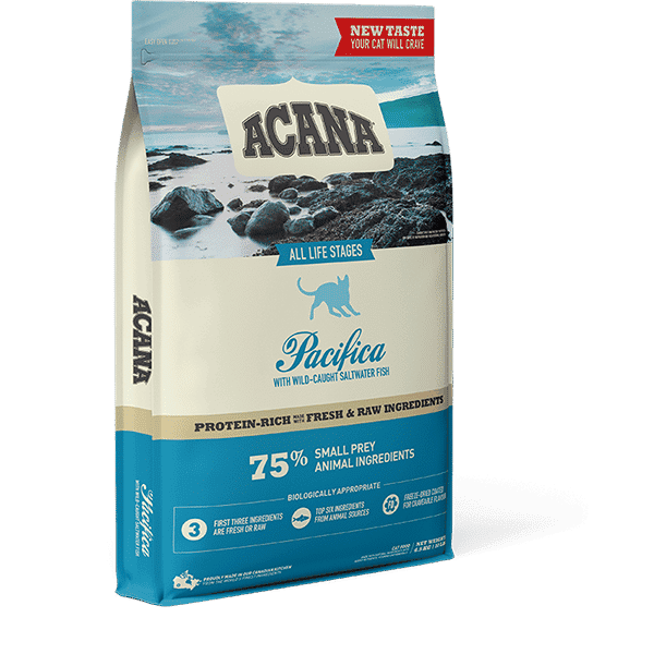 אקנה חתול פסיפיקה דגים מזון מלא יבש