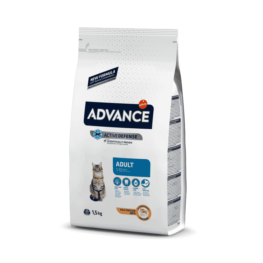 מזון יבש לחתול -אדוונס חתול בוגר עוף