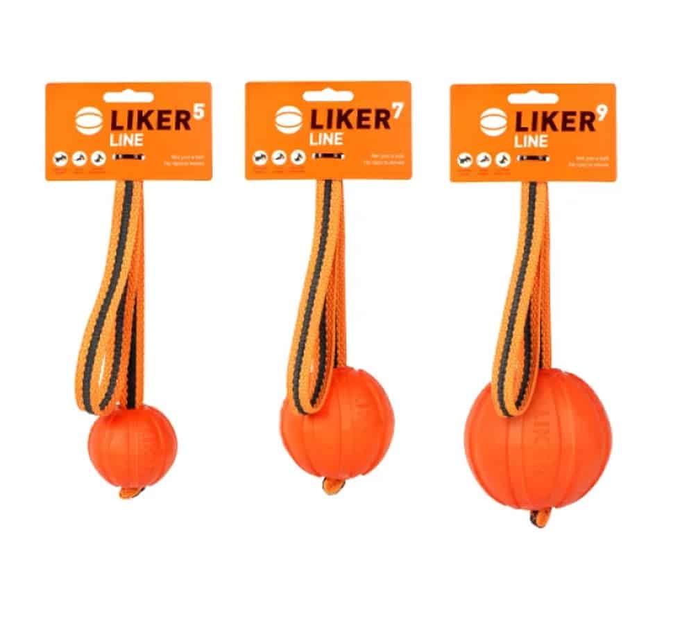 ליקר כדור משחק עם רצועה לכלבים