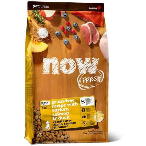 אוכל לגורים נאו פרש