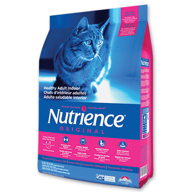 מזון יבש -נוטריאנס אוריג'ינל לחתול בייתי