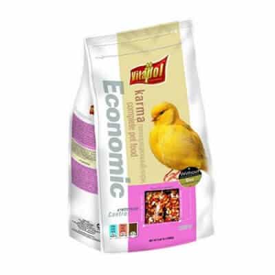 ויטפול מזון לכנרית