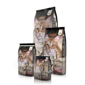 לאונרדו-מקסי-ללא-דגנים