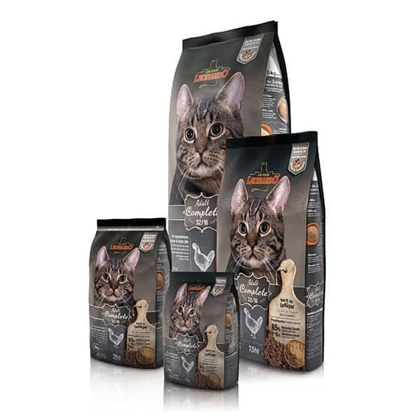 לאונרדו פיט 32 חתול בוגר