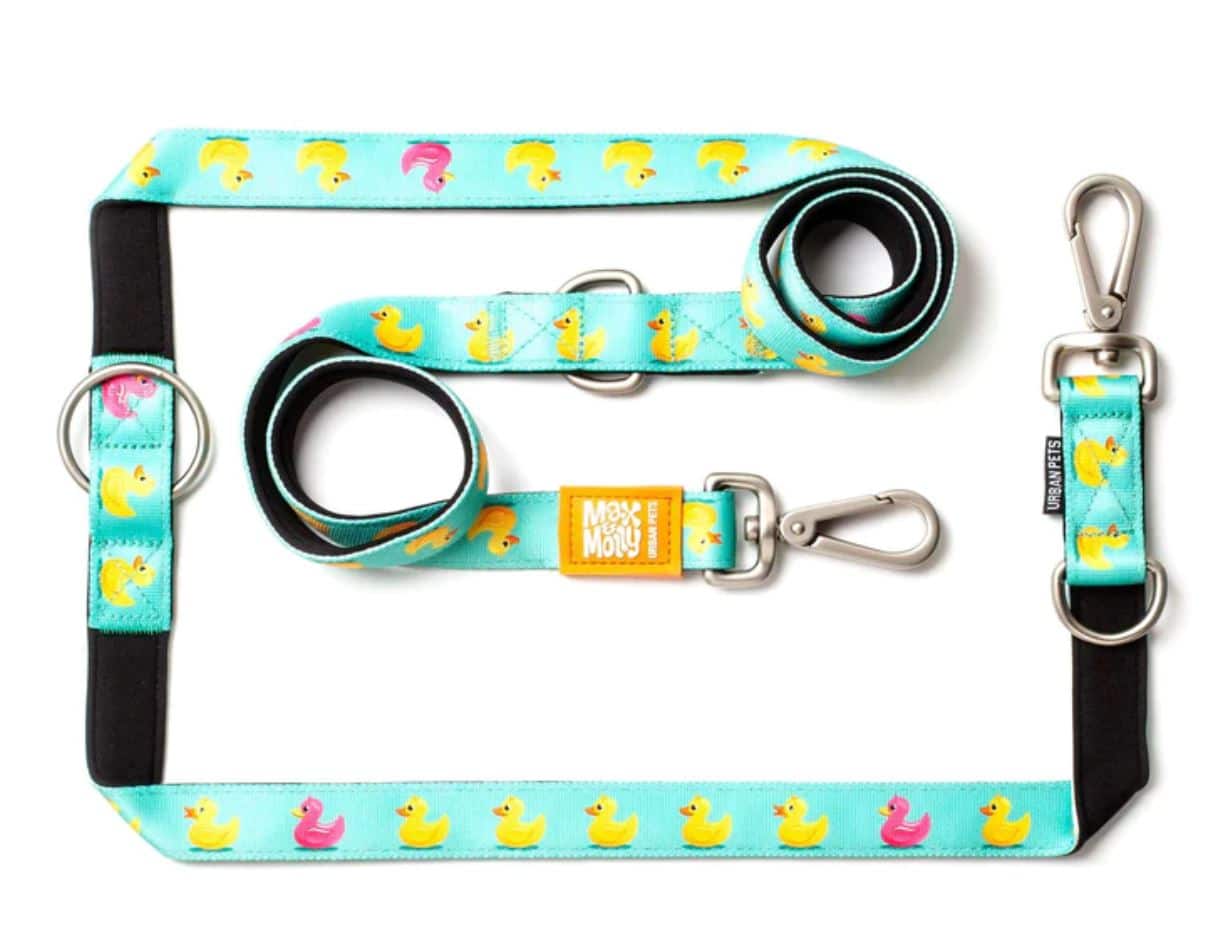 רצועה מולטי ברווזים