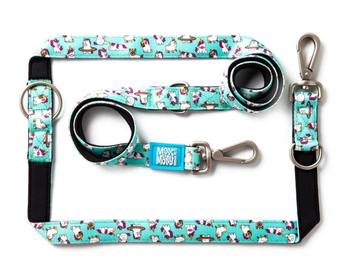 רצועה מולטי חד קרן