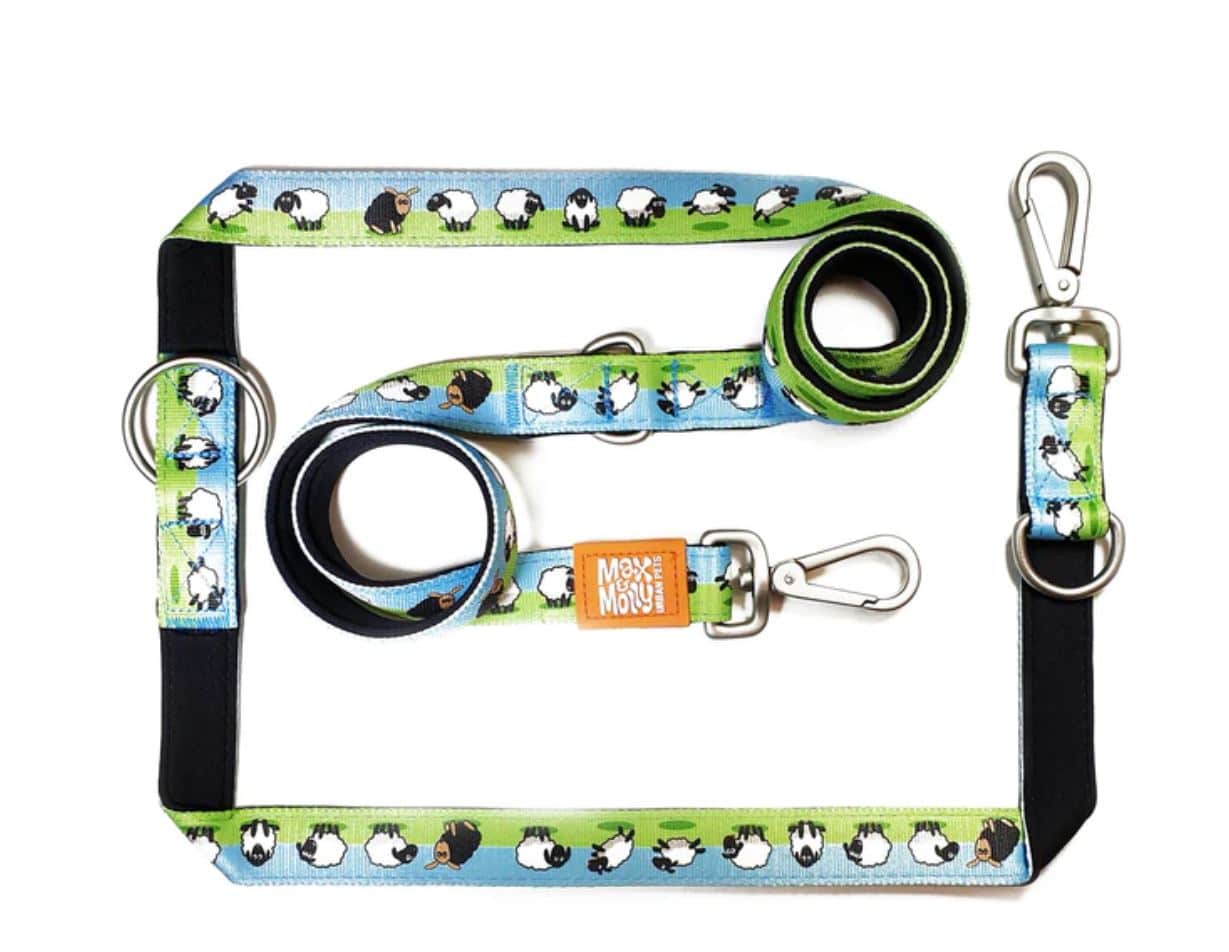 רצועה מולטי פנקשן כבשים