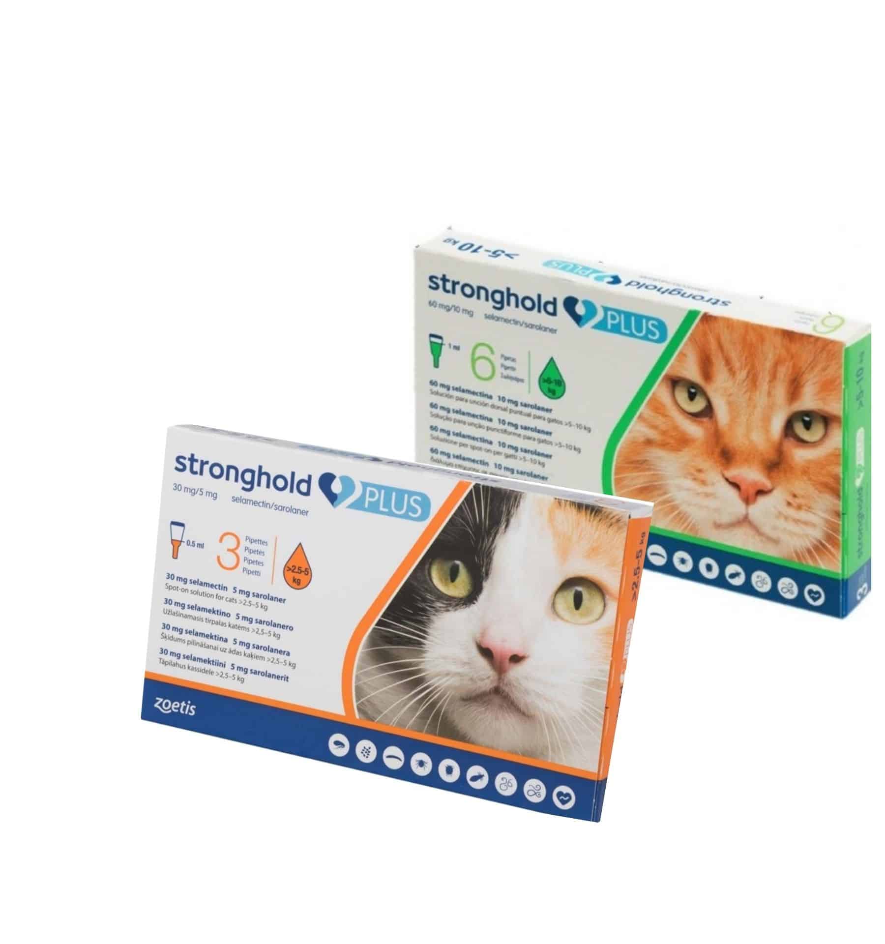 סטרונג הולד פלוס לחתול