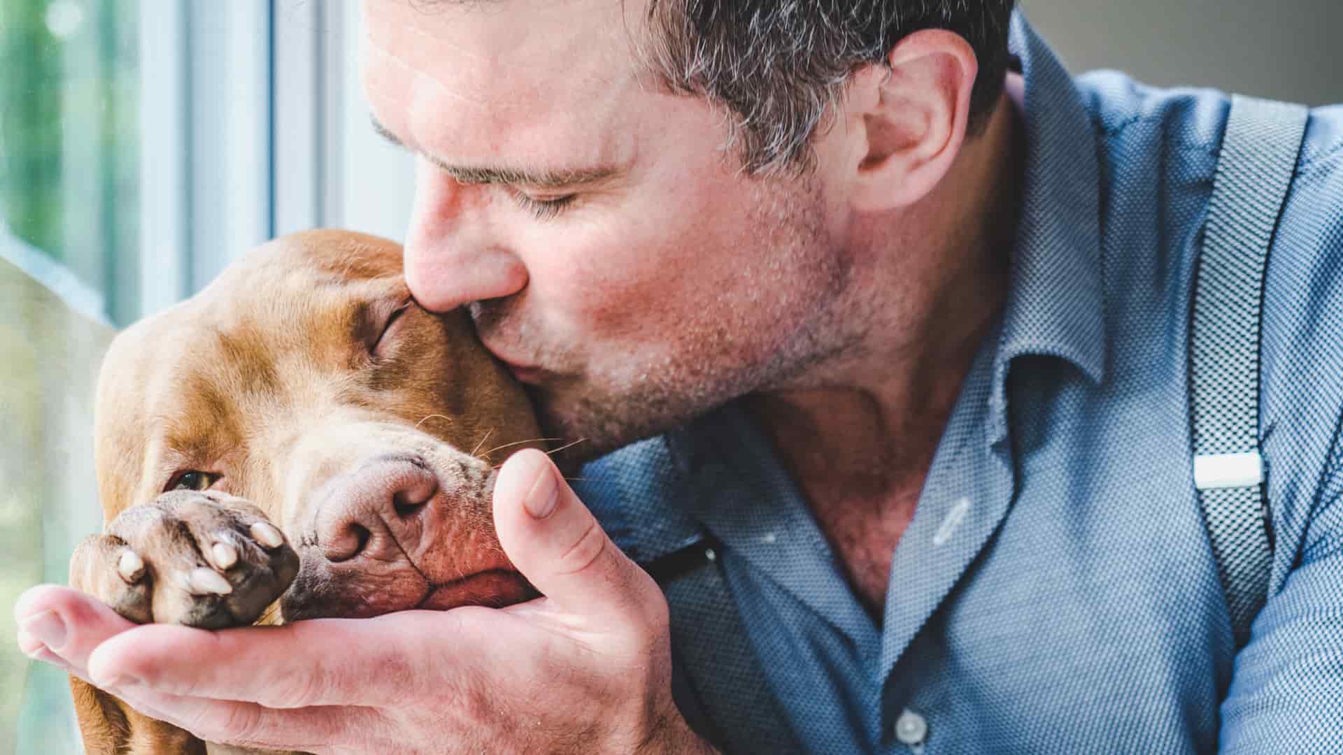 איך כלב מראה אהבה