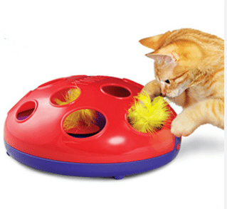 משחק -מחבואים לחתול חצי כדור עם נוצות