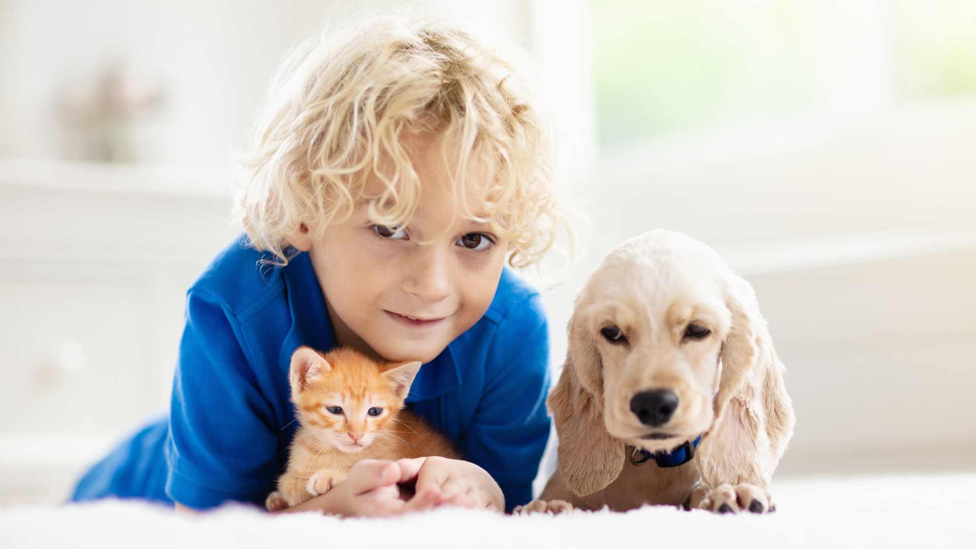 ילד עם כלב וחתול