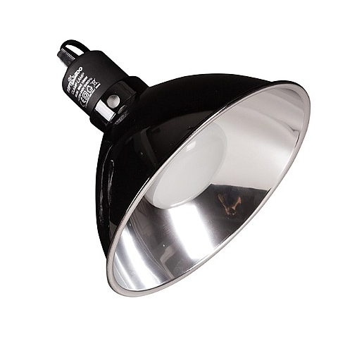 בית מנורה לטרריום קוטר 22 סמ 150 וואט