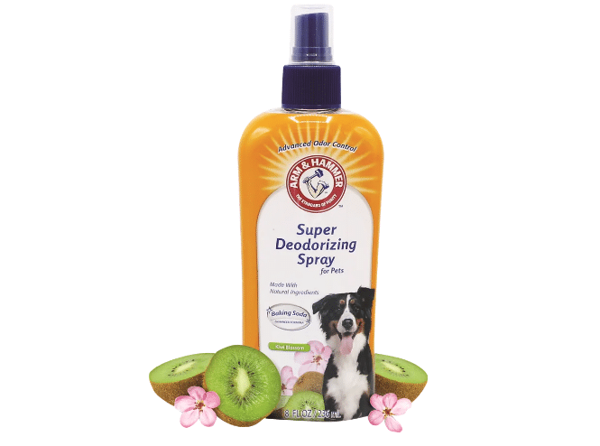 דאודורנט ספריי לכלבים