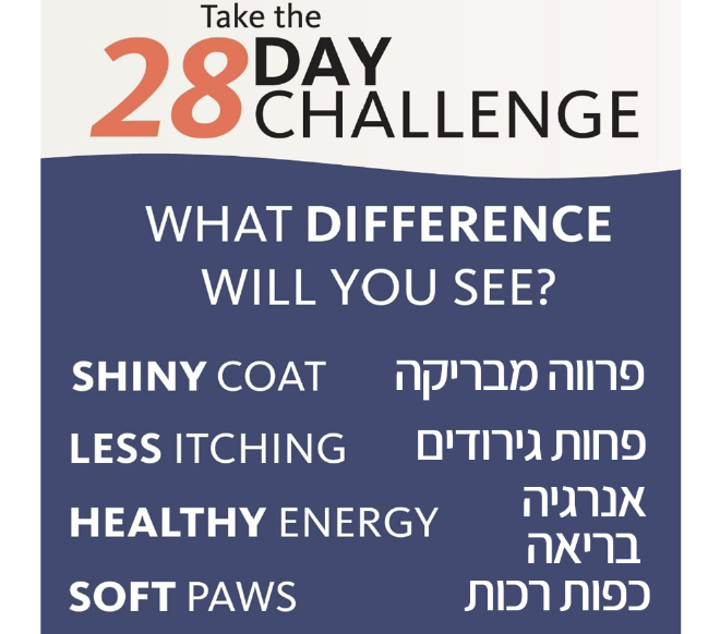 יתרונות שמן סלמון לכלבים