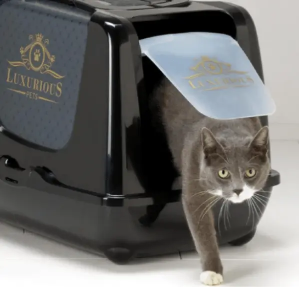 מודרנה- שירותים סגורים- מעוצבים לחתול-טרנדי לקצ'ורי