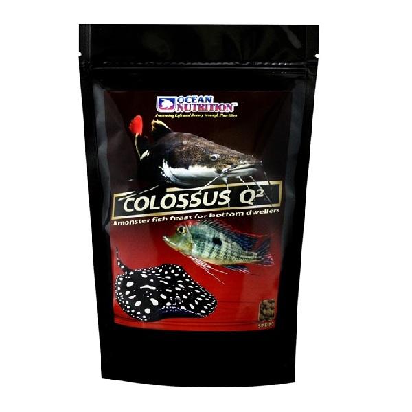 מזון מגורען שוקע קולוסוס דגים גדולים