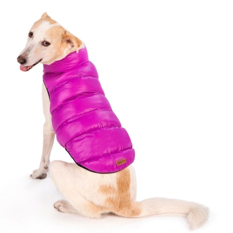 מעיל דו צדדי אפור סגול לכלבים ריבוס