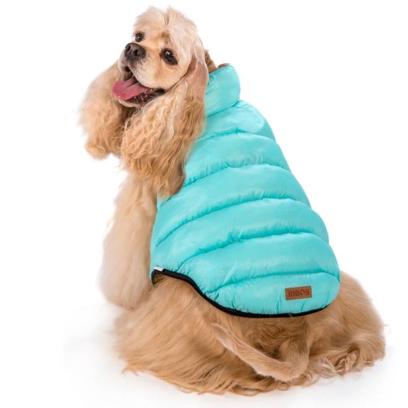 מעיל כלבים דו-צדדי תכלת ומוקה ריבוס