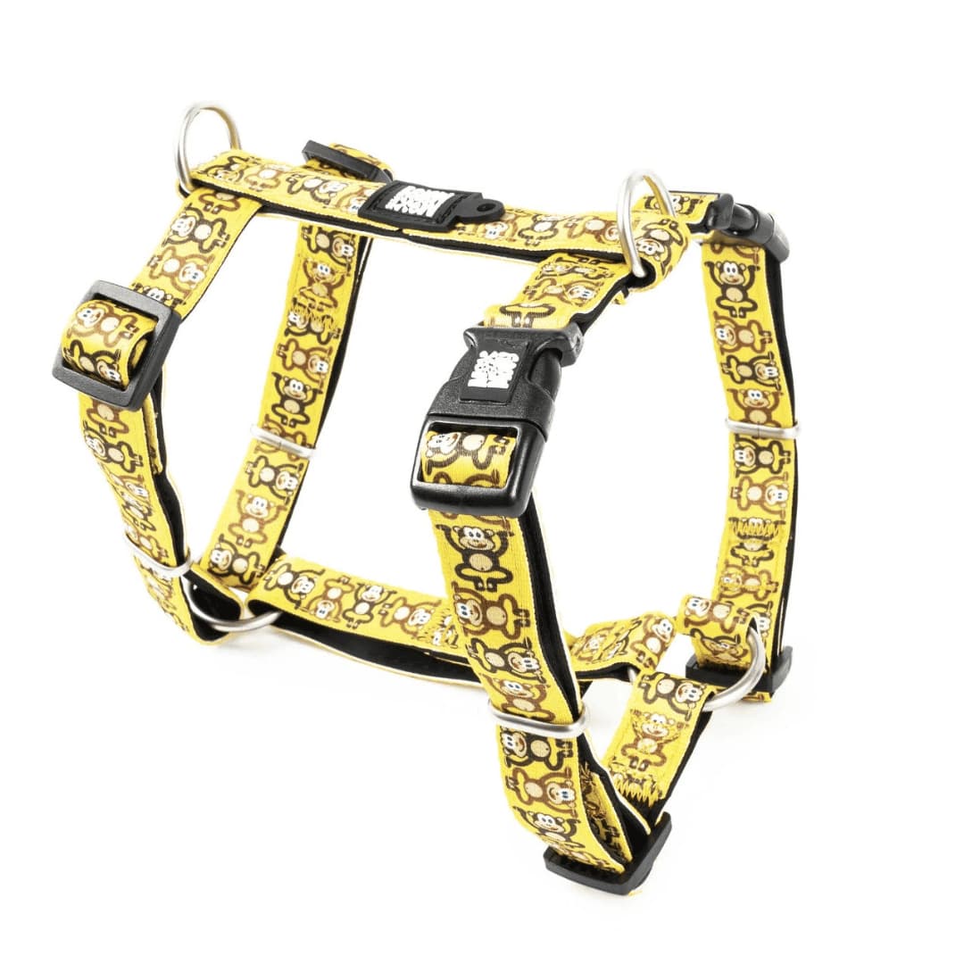 מקס ומולי רתמה לכלב בעיצוב קופים