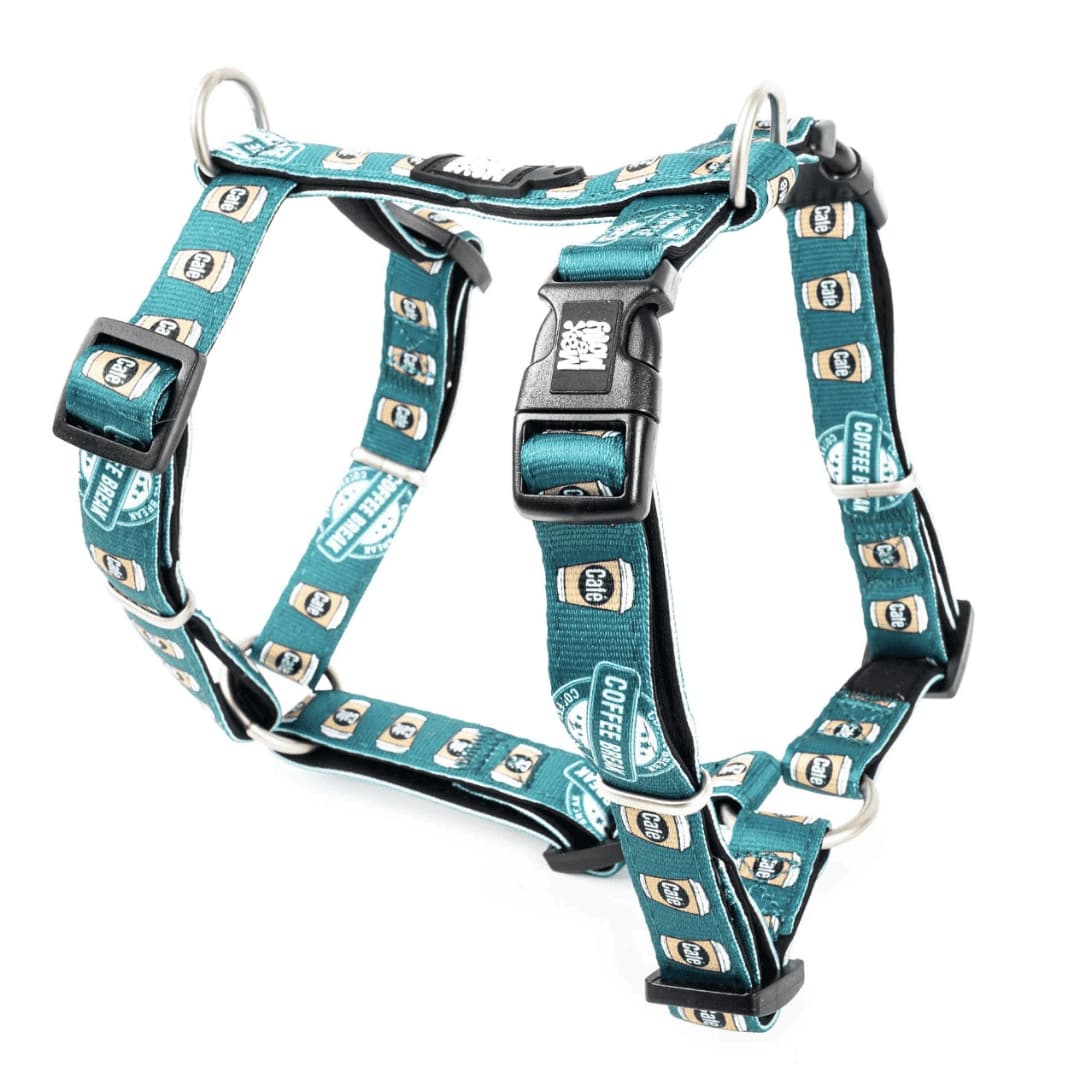 מקס ומולי רתמה לכלב בעיצוב קפה