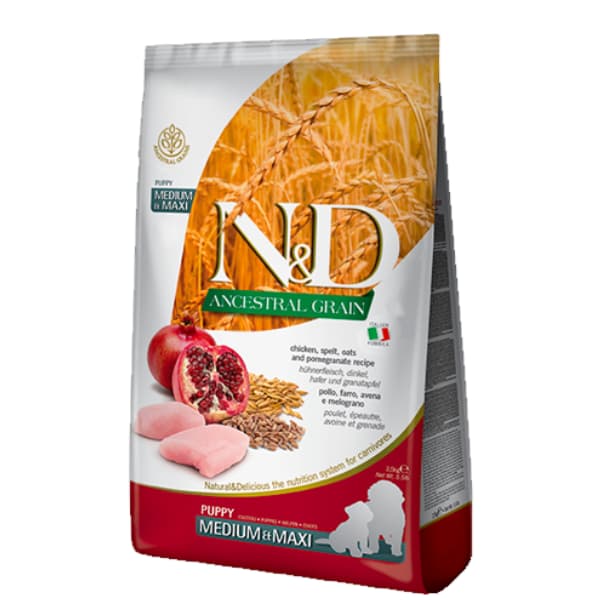 נטורל דלישס מזון יבש לגורי כלבים מופחת דגנים גזע בינוני גדול