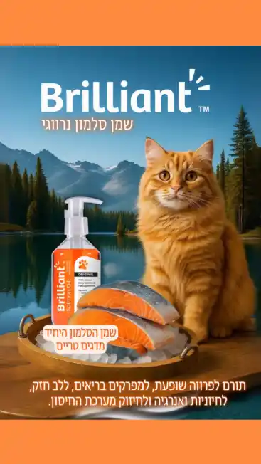 שמן סלמון נורווגי מדגים טריים לחתולים ולכלבים שמן סלמון נורווגי מדגים טריים לחתולים ולכלבים