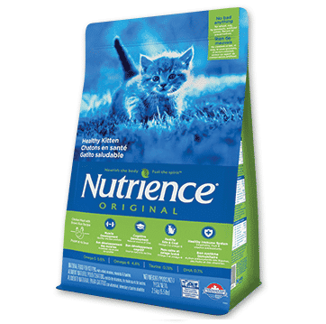 מזון יבש לגורי חתולים-נוטריאנס -עוף