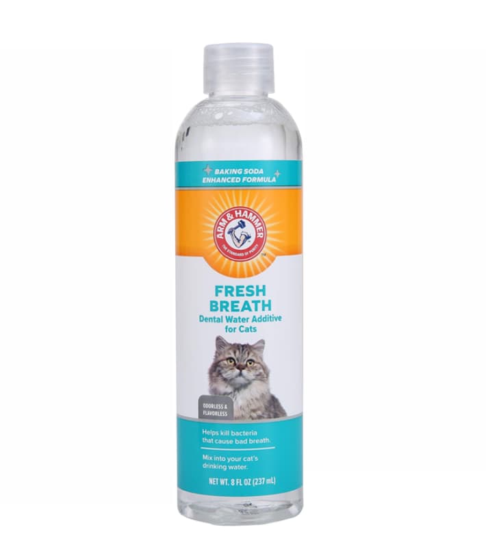 תוסף מי פה לחתולים בטעם מנטה מרענן ארם אנד המר