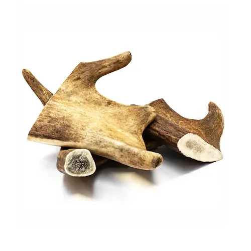 קרן יחמור שטוחה חטיף טבעי לכלבים