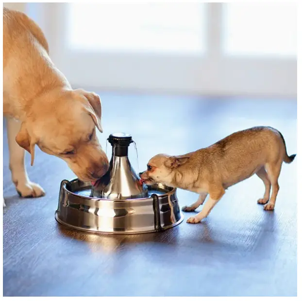 פטסייף -מזרקת -נירוסטה לחיות -מחמד