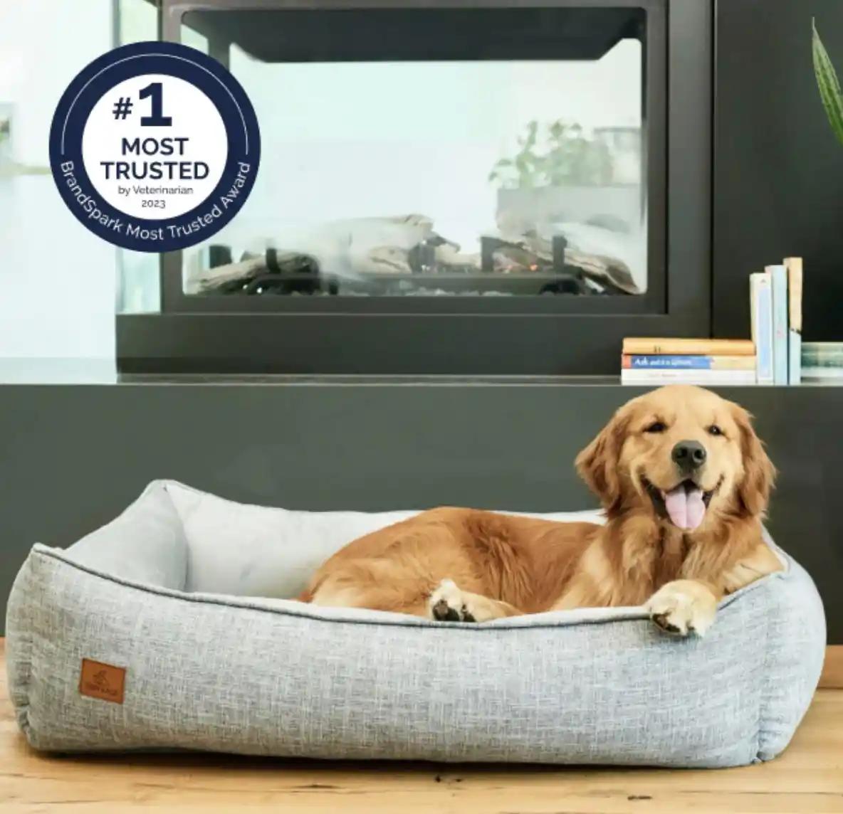מיטה אורטופדית לכלב