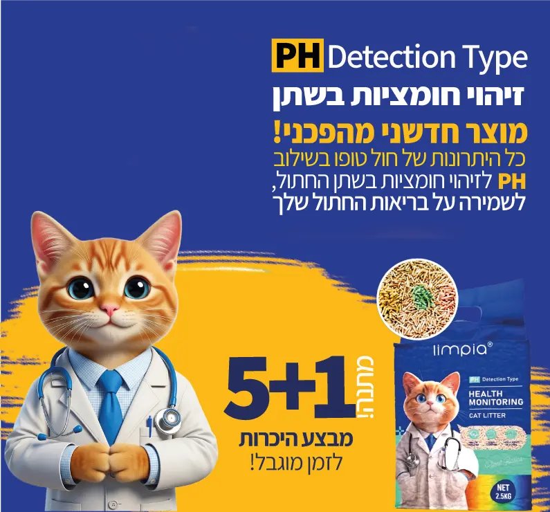 חול-טופו-פי.אייצ-חמש-פלוס-אחד-מתנה
