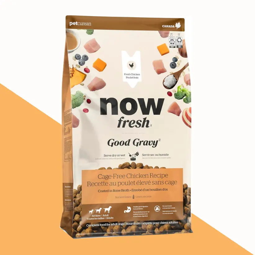 נאו גוד גרייבי מזון איכותי לכלבים ללא דגנים עם בשר עוף