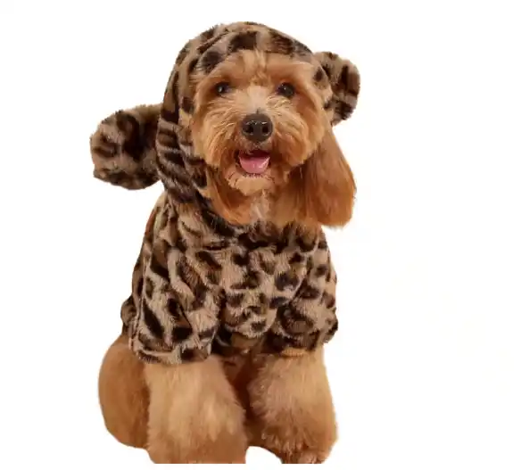 קפוצ'ון-לכלבים וחתולים נמר נעים ונוח