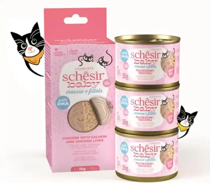 שזיר בייבי מעדן רטוב לגורי חתולים