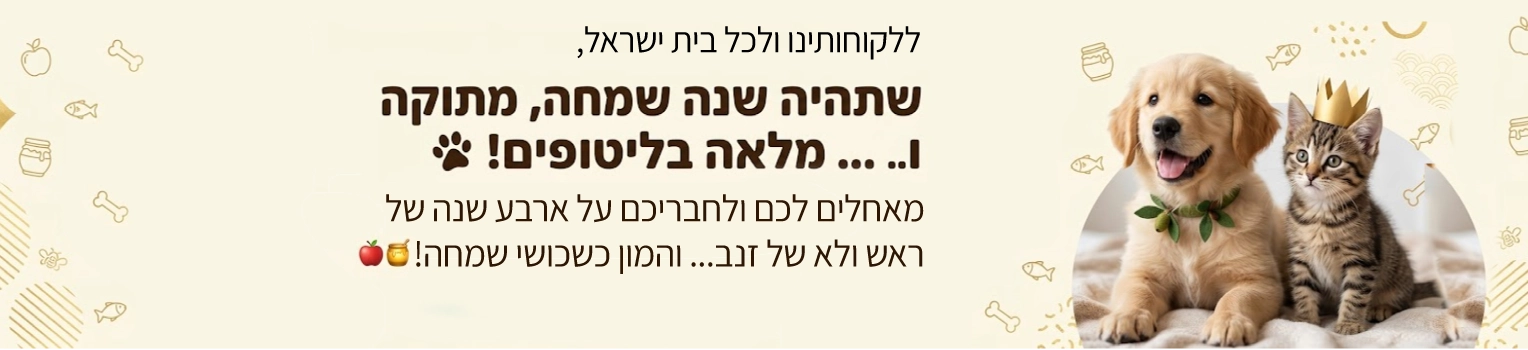 באנר-פטבסט-ראש-השנה-2026